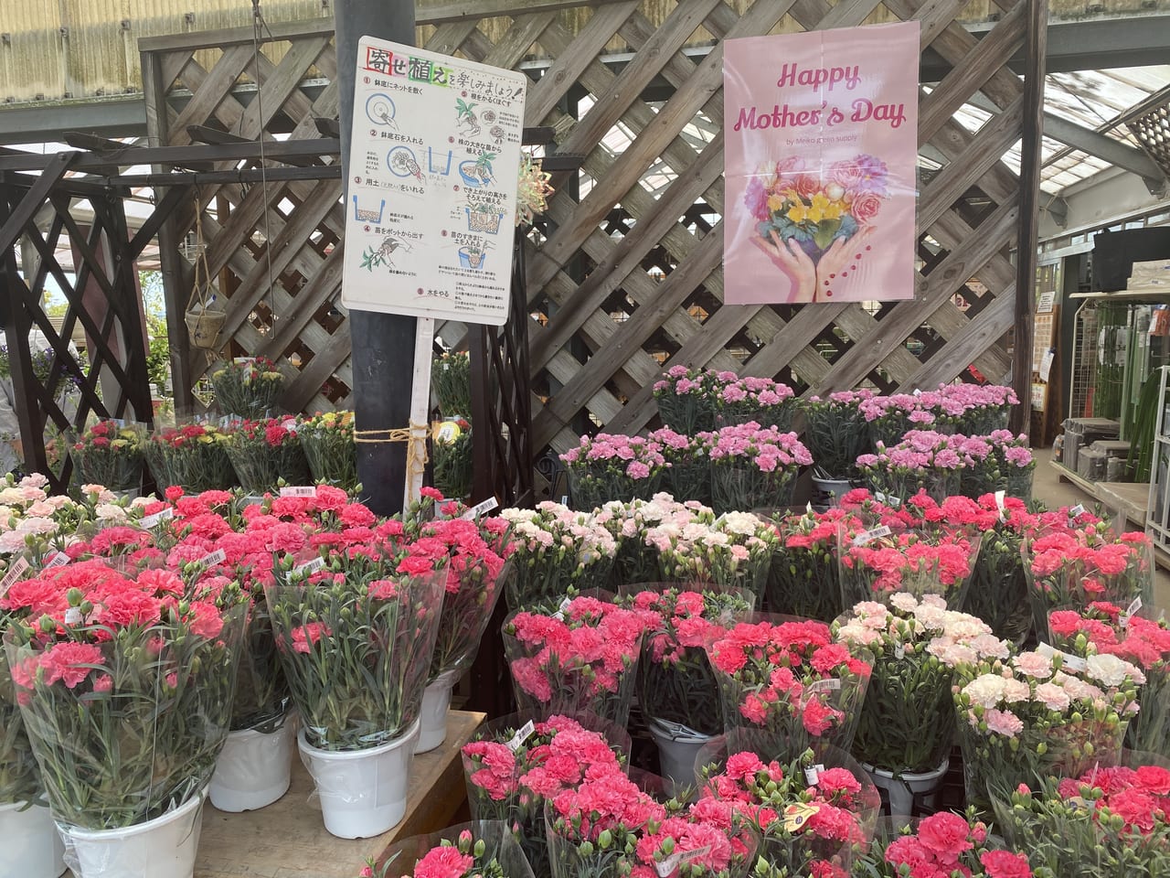 神戸市西区 まるで植物園 大型園芸店 明幸園 平野店 週末は行列必須 母の日用のお花もたくさんありましたよ 号外net 神戸市西区