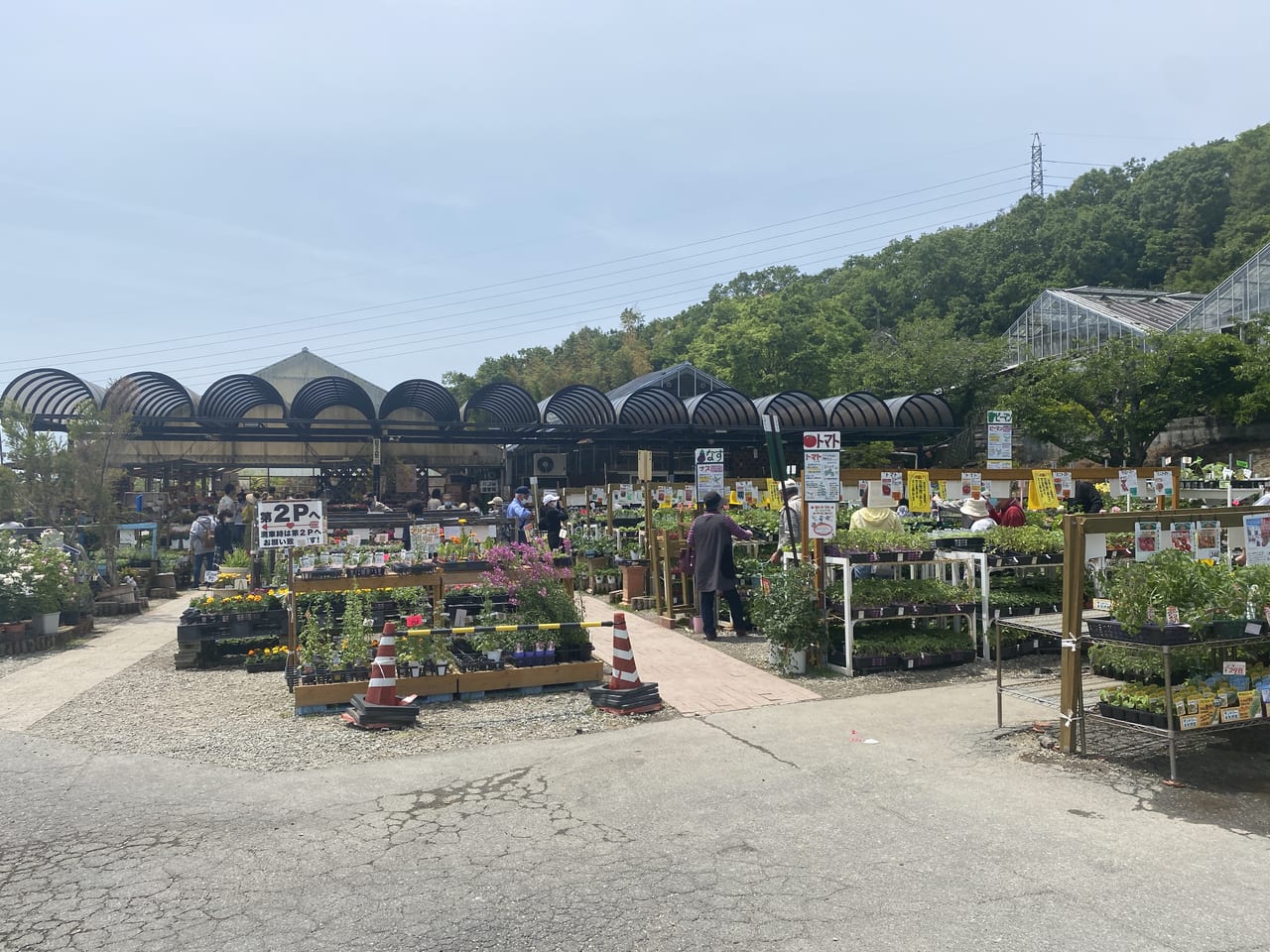 神戸市西区 まるで植物園 大型園芸店 明幸園 平野店 週末は行列必須 母の日用のお花もたくさんありましたよ 号外net 神戸市西区