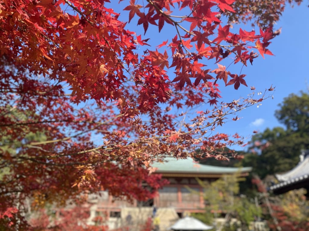 太山寺